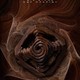 photo du film Les portes du temps