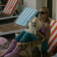 photo du film The Dog Problem