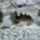 photo du film Enfants non accompagnés