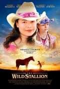 voir la fiche complète du film : Last of the Mustangs