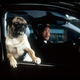 photo du film Men in Black II