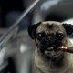 photo du film Men in Black II