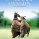photo du film Les Animaux amoureux