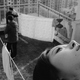 photo du film The Cloud in Her Room