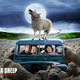 photo du film Black Sheep