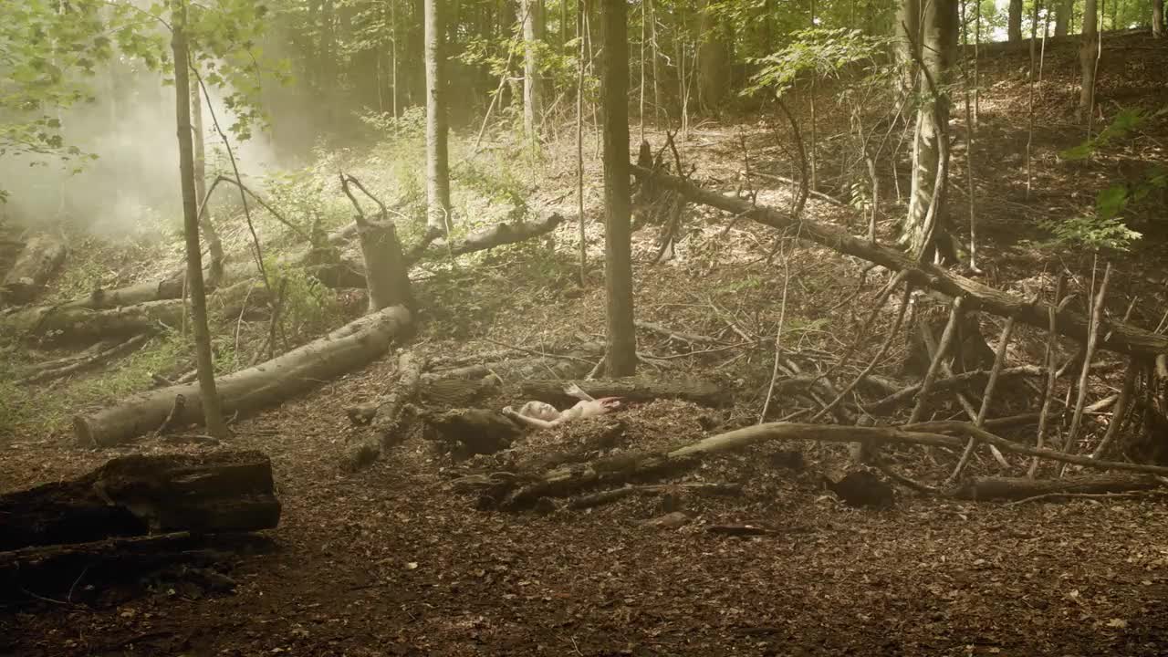 Un extrait de la série  Hemlock grove