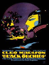 voir la fiche complète du film : Black Orchids