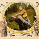 photo du film The Millionaire Cowboy