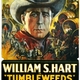 photo du film Tumbleweeds