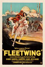 voir la fiche complète du film : Fleetwing