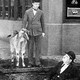 photo du film Un amour de chèvre