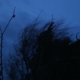 photo du film Turba