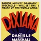 photo du film Dixiana