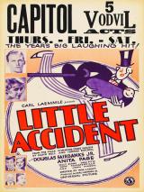 voir la fiche complète du film : Little Accident
