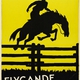 photo du film Sons of the Saddle