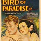 photo du film L'Oiseau de paradis