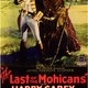 photo du film The Last of the Mohicans