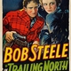 photo du film Trailing North