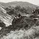 photo du film Blanco, seigneur des prairies