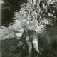 photo du film Blanco, seigneur des prairies