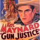 photo du film Le Revolver justicier