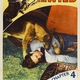 photo du film Law of the Wild