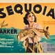 photo du film Sequoia