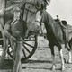 photo du film Wagon Wheels