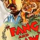 photo du film Seigneurs de la jungle