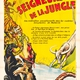 photo du film Seigneurs de la jungle
