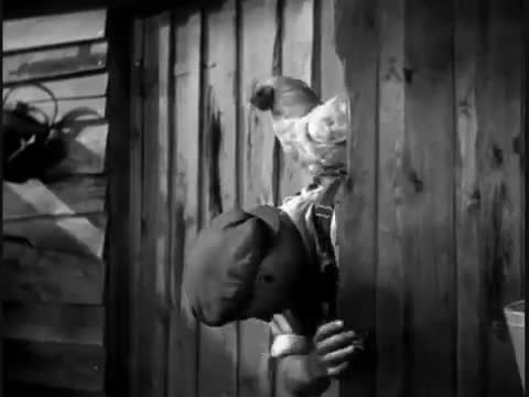 Un extrait du film  No Limit