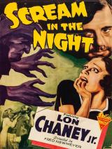 A Scream In The Night