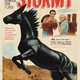photo du film Stormy