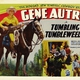 photo du film Tumbling Tumbleweeds