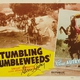 photo du film Tumbling Tumbleweeds