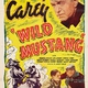 photo du film Wild Mustang