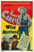 Wild Mustang