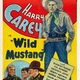 photo du film Wild Mustang