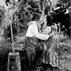 photo du film La Bohémienne