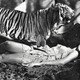 photo du film Toura, déesse de la jungle