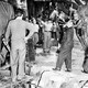 photo du film Toura, déesse de la jungle