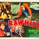 photo du film Rawhide
