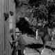 photo du film Code of the Cactus