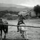 photo du film Code of the Cactus