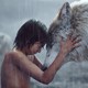 photo du film Le Livre de la jungle