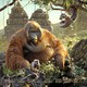 photo du film Le Livre de la jungle