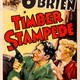 photo du film Timber Stampede