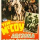 photo du film Arizona Gang Busters