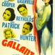 photo du film Gallant Sons