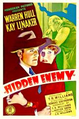 Hidden Enemy